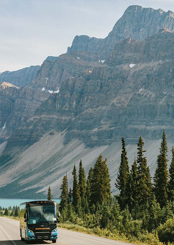 Icefields Parkway Discovery