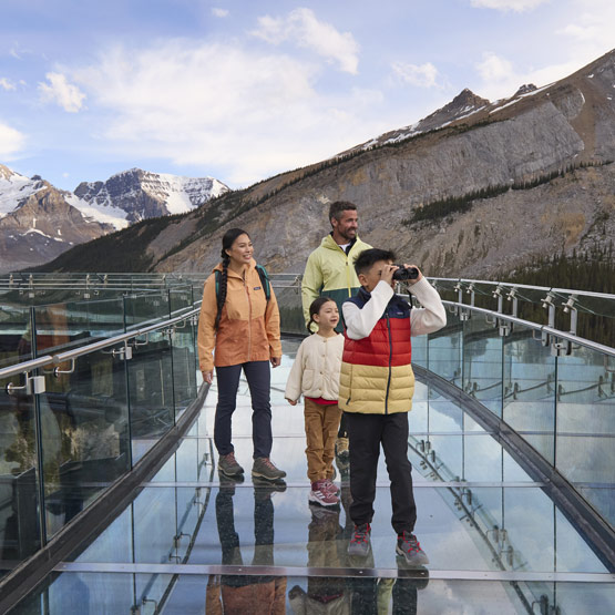 A family walking across the Columbia Icefield Skywalk, with one of the children looking at the view with binoculars.