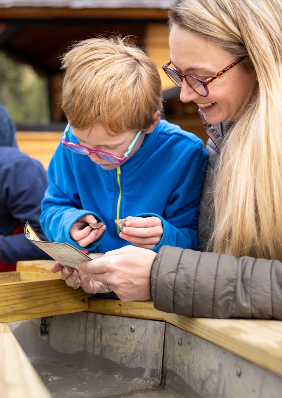 A family exploring the Golden Skybridge.