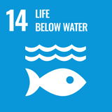 UN-SDG-14