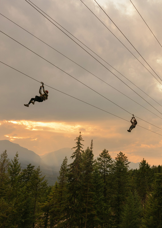 A group of people ziplining above the trees at Golden Skybridge.