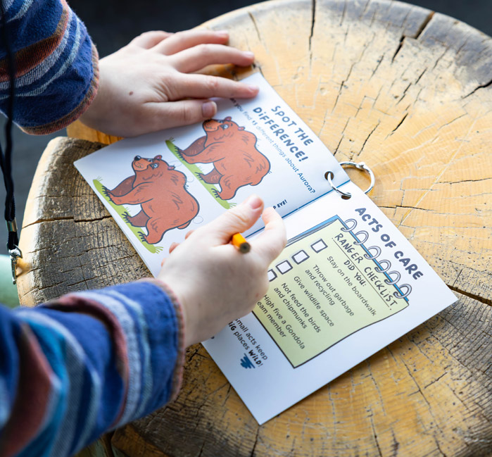 Over shoulder view of a kid colouring a Rockies Ranger booklet on a prop tree stump.