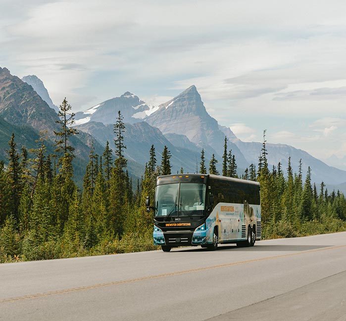 A coach bus drives down a highway beside a large forest.