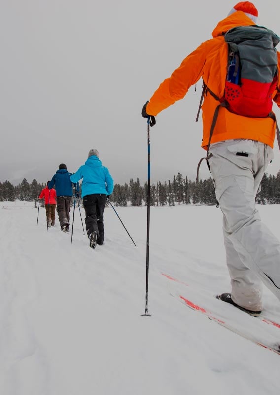 A group of people cross-country ski on a snow-covered frozen lake.